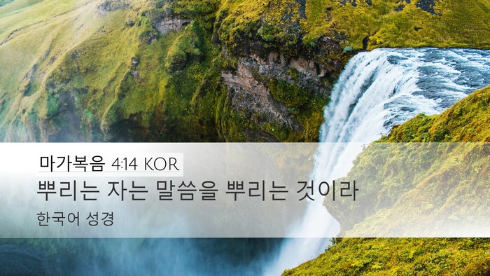 마가복음 4:14 KOR Bible Verse Image