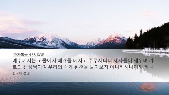 마가복음 4:38 KOR Bible Verse Image