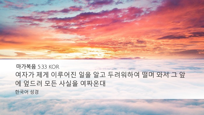 마가복음 5:33 KOR Bible Verse Image