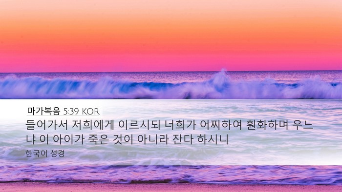 마가복음 5:39 KOR Bible Verse Image