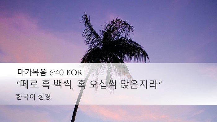 마가복음 6:40 KOR Desktop Wallpaper - 
