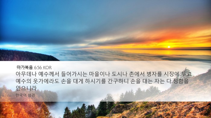 마가복음 6:56 KOR Bible Verse Image