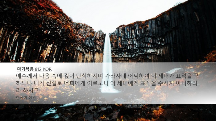 마가복음 8:12 KOR Desktop Wallpaper - 예수께서 마음 속에 깊이 탄식하시며 - Desktop Bible Verse Wallpaper