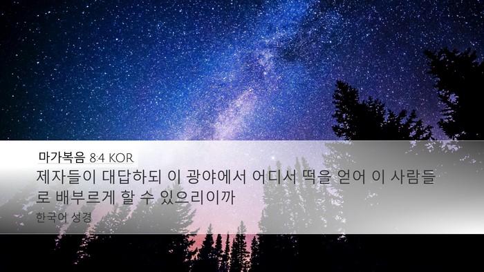마가복음 8:4 KOR Bible Verse Image