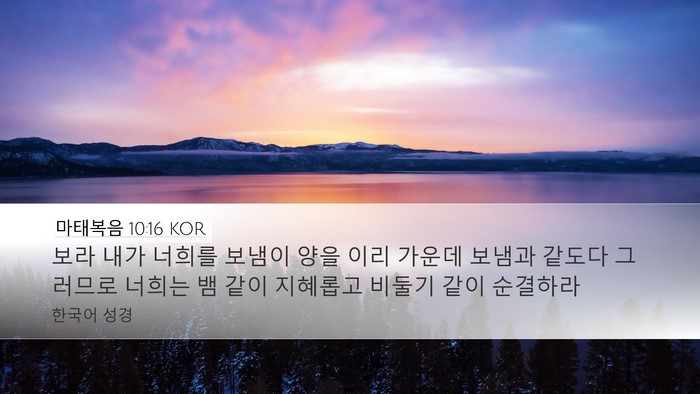 마태복음 10:16 KOR Bible Verse Image