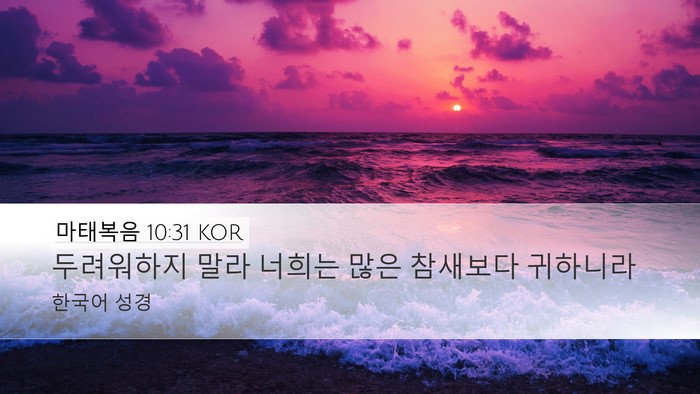 마태복음 10:31 KOR Bible Verse Image