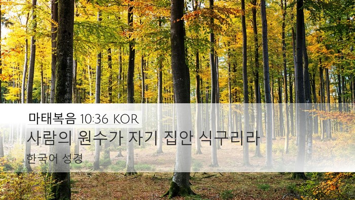 마태복음 10:36 KOR Bible Verse Image