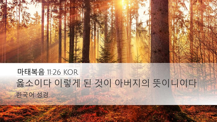 마태복음 11:26 KOR Bible Verse Image