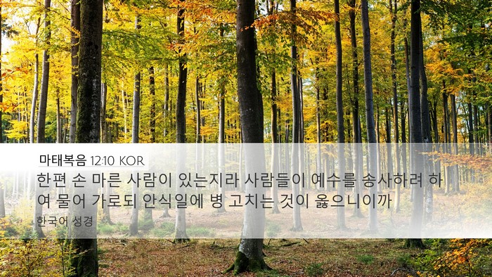 마태복음 12:10 KOR Desktop Wallpaper - 한편 손 마른 사람이 있는지라 - Desktop Bible Verse Wallpaper
