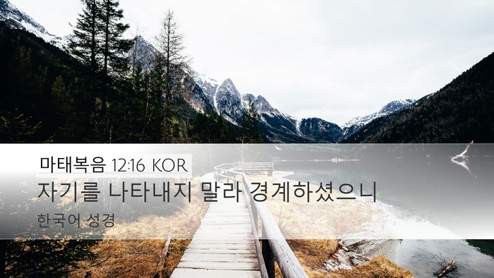 마태복음 12:16 KOR Bible Verse Image