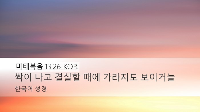 마태복음 13:26 KOR Bible Verse Image