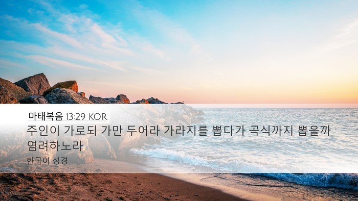 마태복음 13:29 KOR Desktop Wallpaper - 주인이 가로되 가만 두어라 가라지를 - Desktop Bible Verse Wallpaper