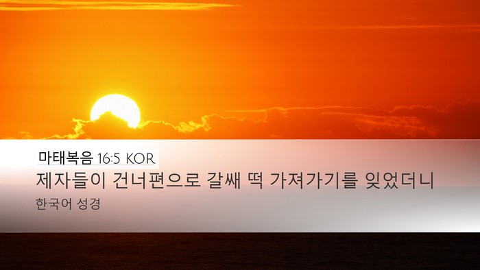 마태복음 16:5 KOR Bible Verse Image