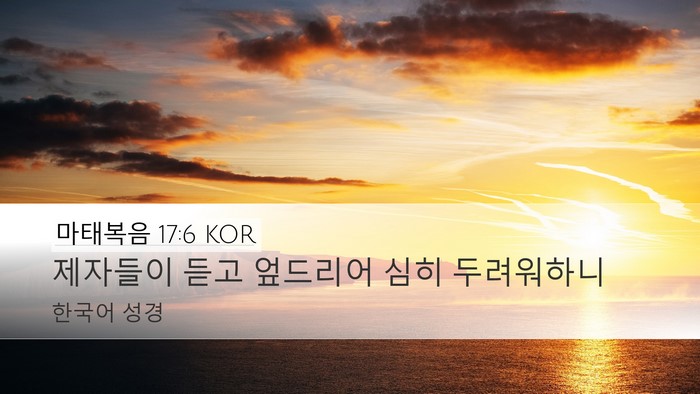 마태복음 17:6 KOR Bible Verse Image