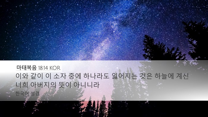 마태복음 18:14 KOR Bible Verse Image