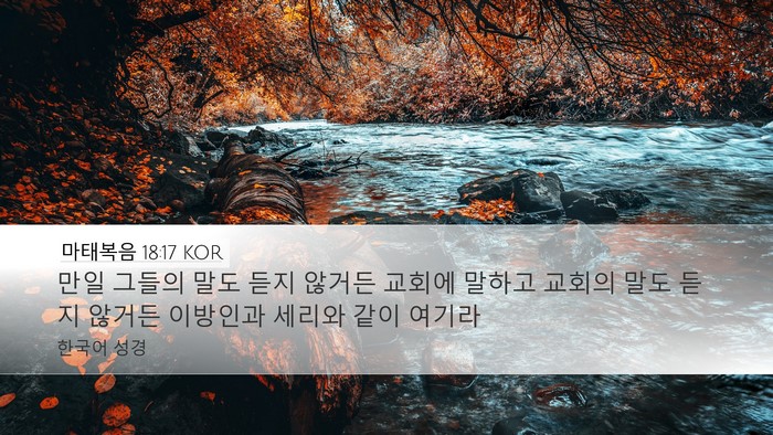 마태복음 18:17 KOR Bible Verse Image
