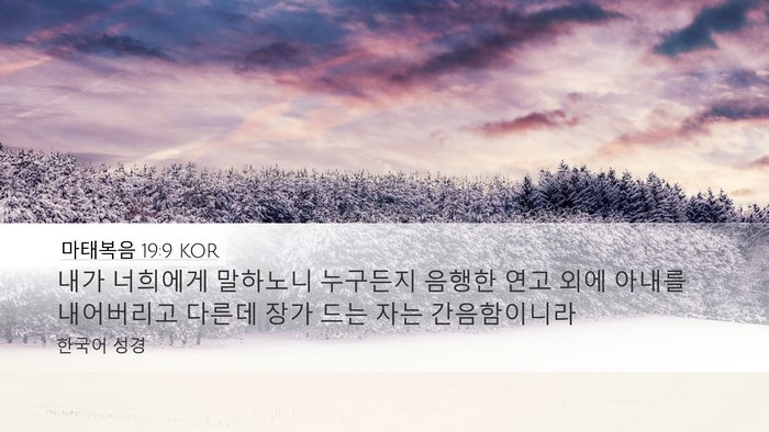 마태복음 19:9 KOR Bible Verse Image