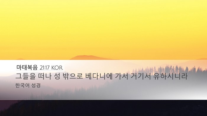 마태복음 21:17 KOR Bible Verse Image