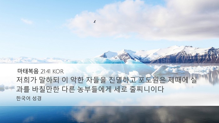 마태복음 21:41 KOR Bible Verse Image