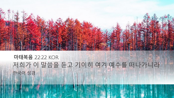 마태복음 22:22 KOR Bible Verse Image