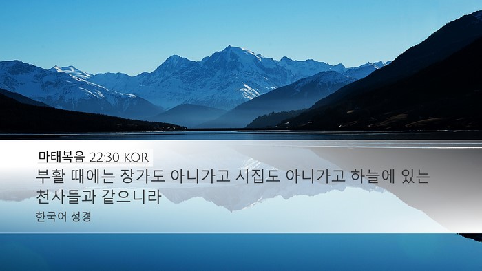 마태복음 22:30 KOR Bible Verse Image