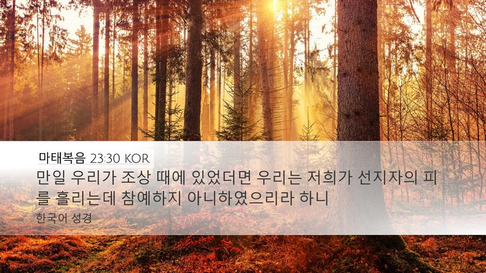 마태복음 23:30 KOR Desktop Wallpaper - 만일 우리가 조상 때에 있었더면 - Desktop Bible Verse Wallpaper