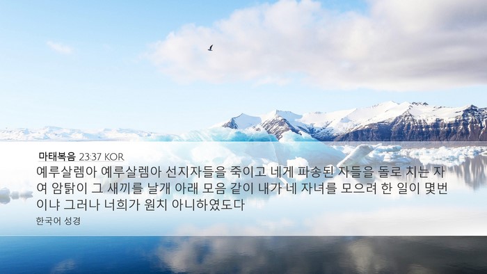 마태복음 23:37 KOR Bible Verse Image