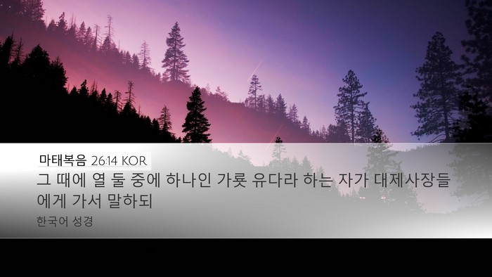 마태복음 26:14 KOR Bible Verse Image
