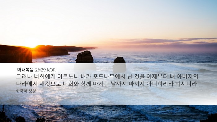 마태복음 26:29 KOR Bible Verse Image