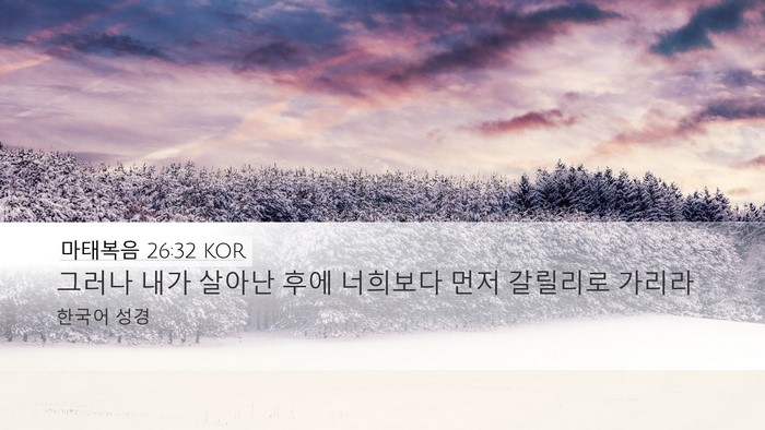 마태복음 26:32 KOR Bible Verse Image