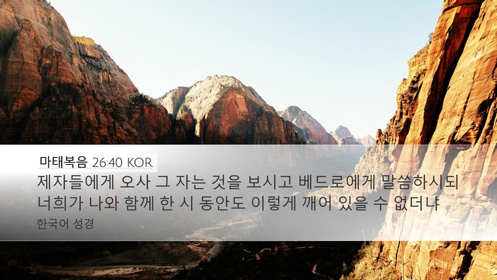 마태복음 26:40 KOR Bible Verse Image
