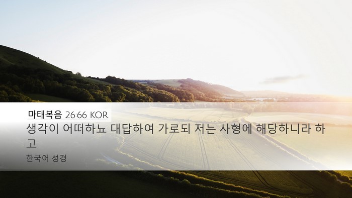 마태복음 26:66 KOR Bible Verse Image
