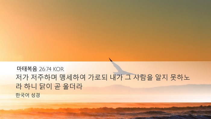 마태복음 26:74 KOR Bible Verse Image