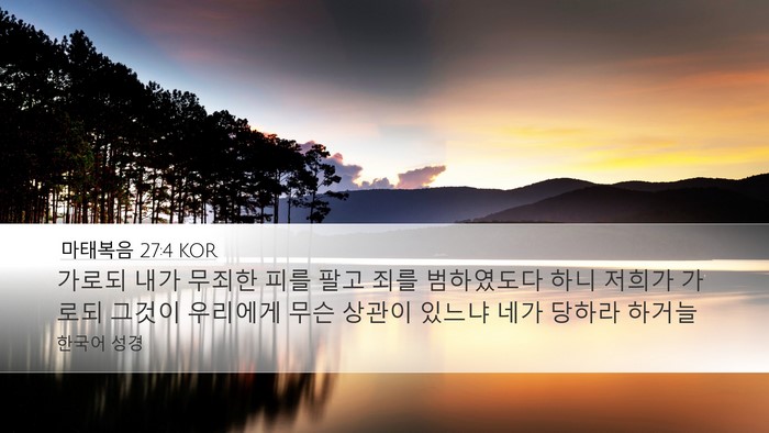 마태복음 27:4 KOR Bible Verse Image