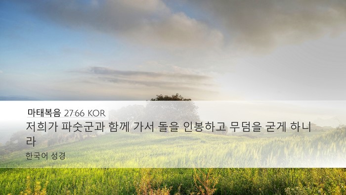 마태복음 27:66 KOR Bible Verse Image