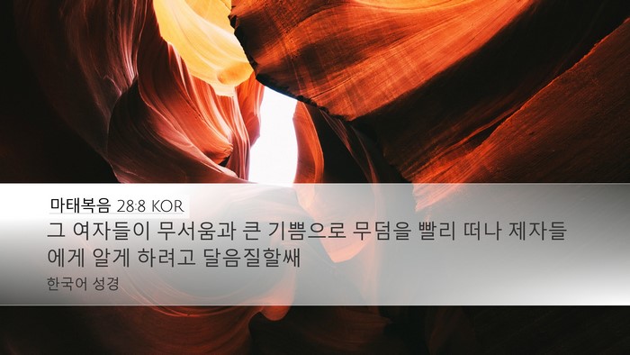 마태복음 28:8 KOR Bible Verse Image