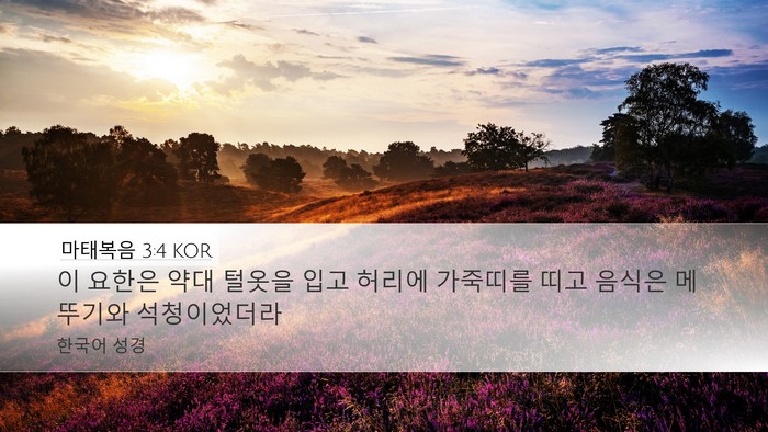 마태복음 3:4 KOR Bible Verse Image