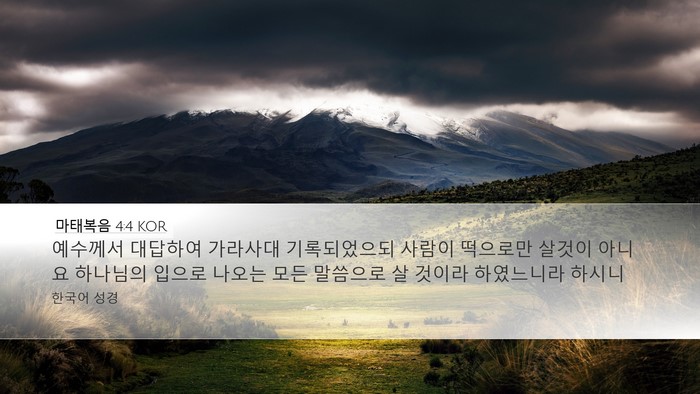 마태복음 4:4 KOR Bible Verse Image