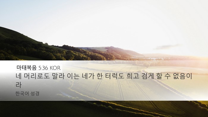 마태복음 5:36 KOR Desktop Wallpaper - 네 머리로도 말라 이는 네가 한 - Desktop Bible Verse Wallpaper