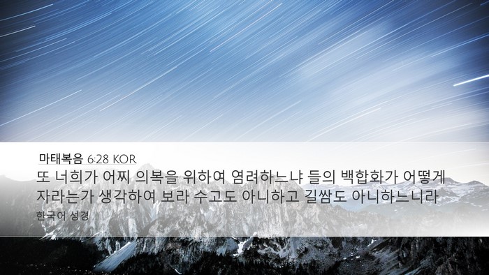 마태복음 6:28 KOR Bible Verse Image