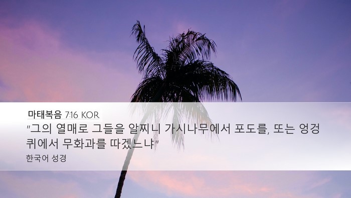 마태복음 7:16 KOR Bible Verse Image