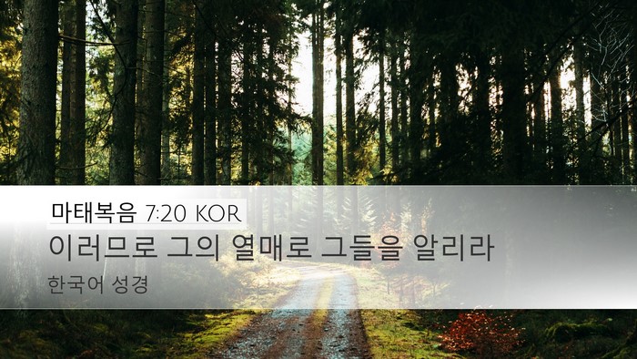 마태복음 7:20 KOR Bible Verse Image