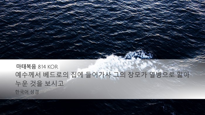 마태복음 8:14 KOR Bible Verse Image
