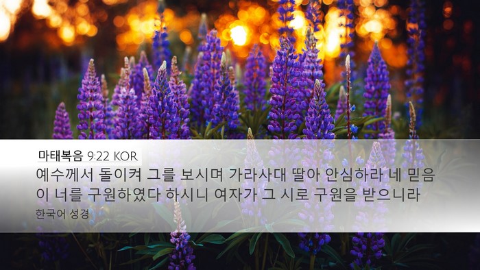 마태복음 9:22 KOR Bible Verse Image