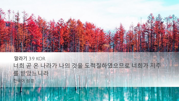 말라기 3:9 KOR Bible Verse Image