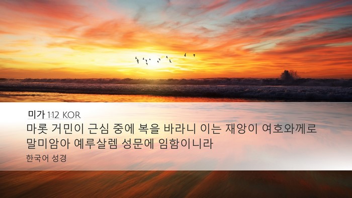 미가 1:12 KOR Bible Verse Image