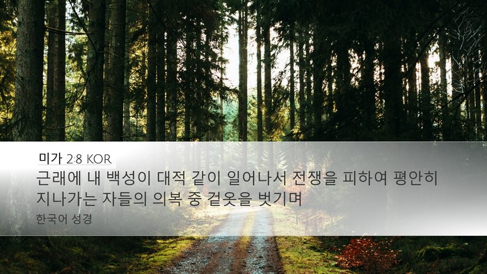 미가 2:8 KOR Bible Verse Image