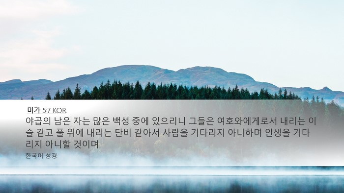 미가 5:7 KOR Bible Verse Image