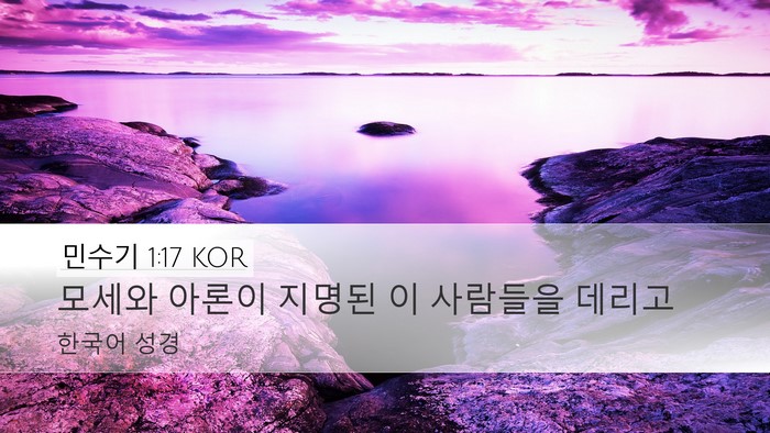 민수기 1:17 KOR Bible Verse Image