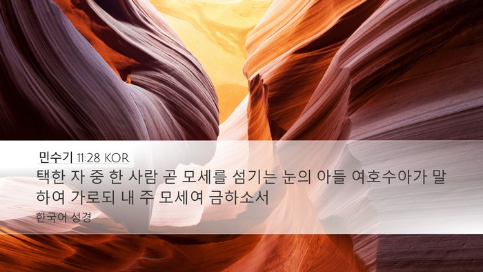 민수기 11:28 KOR Bible Verse Image